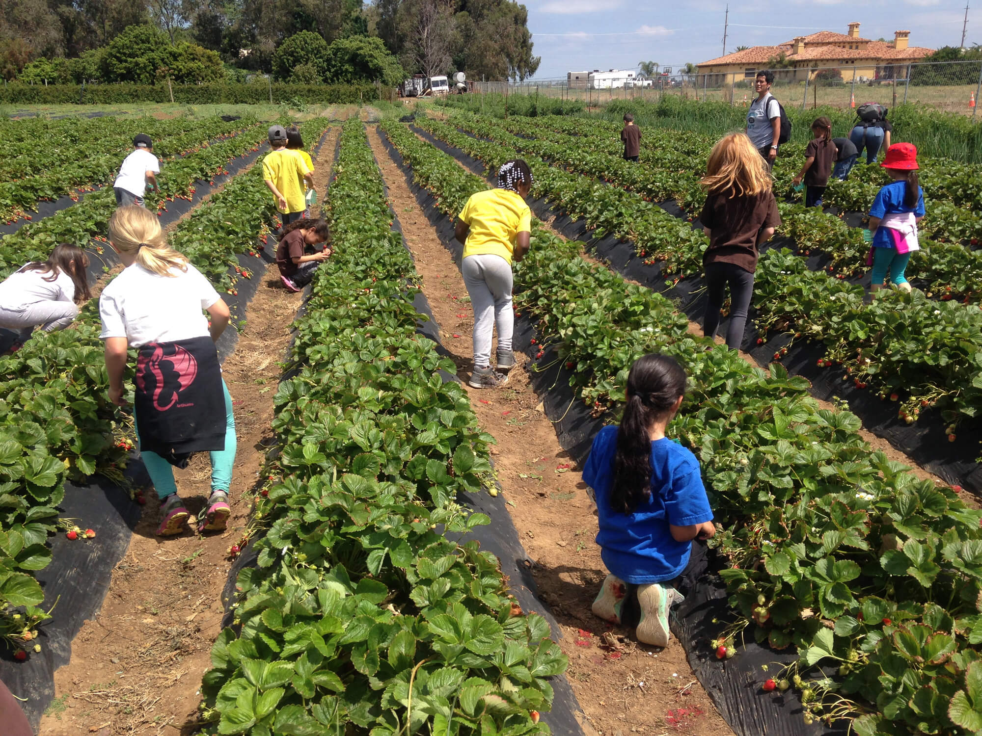 Farm Tour