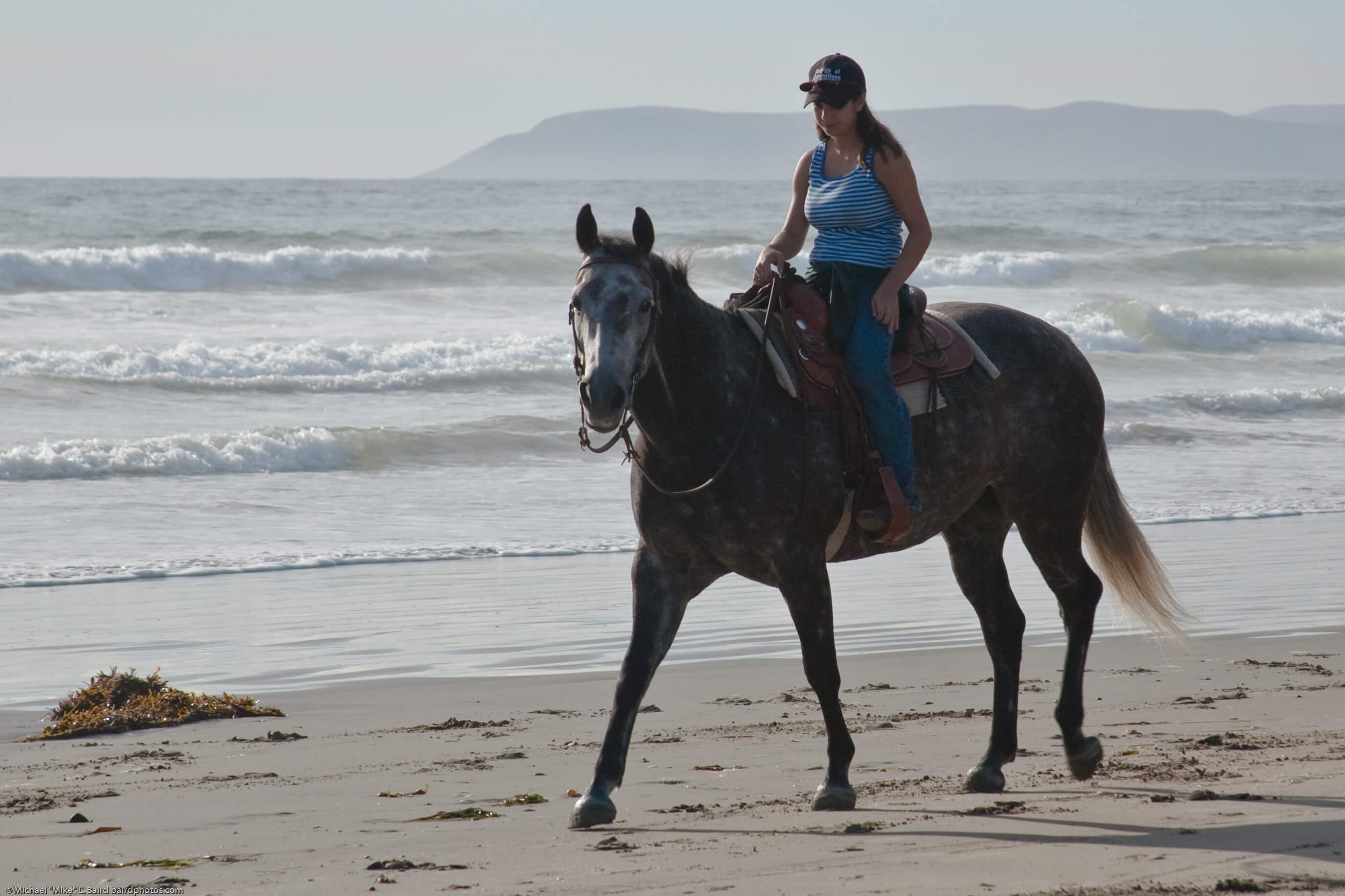 Female equestrian, Women at the Reins, horsemen, horsewoman, rid