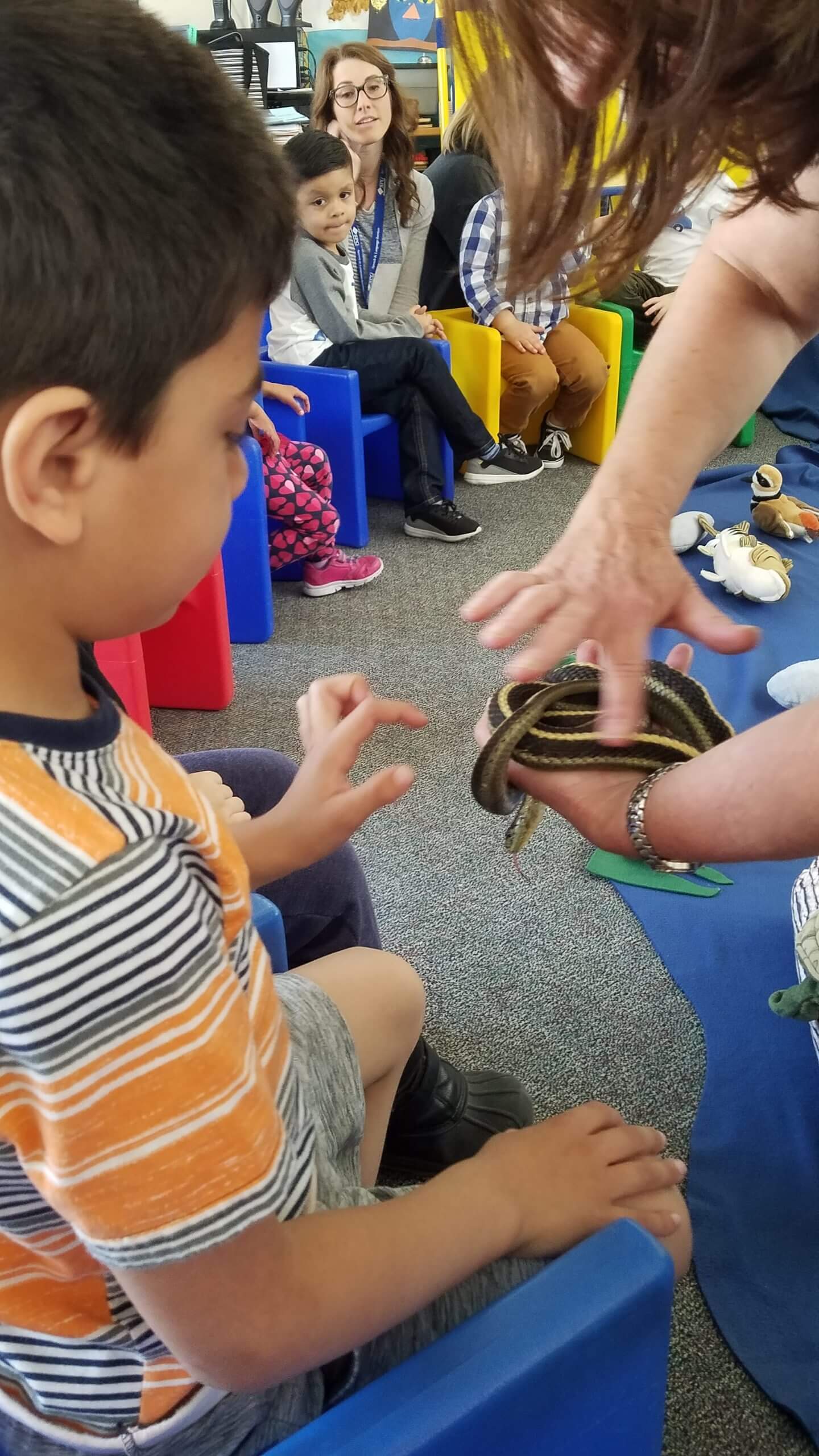 Special Education Resource Grants Program Philanthropic Ventures