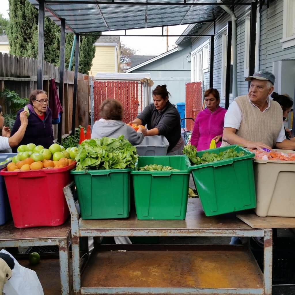 fooddistribution