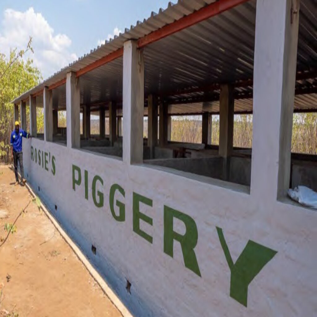 lesedi-piggery