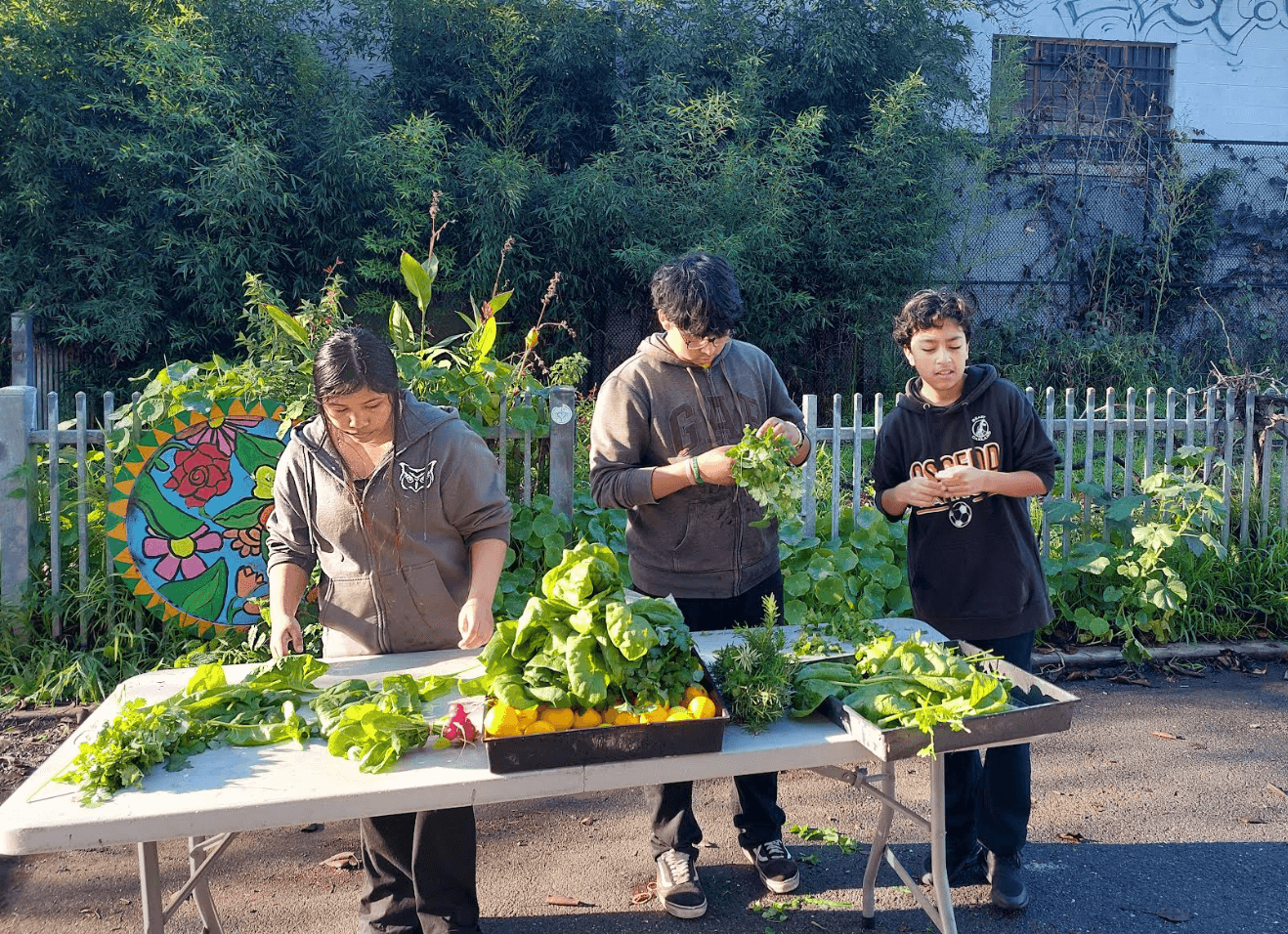 Sowing Seeds of Change: How Ascend Students Are Growing Green Spaces and Community Impact Sowing Seeds of Change: How Ascend Students Are Growing Green Spaces and Community Impact