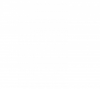 STEM Festival