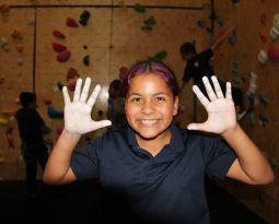 Climbing to New Heights with Forest and Tree